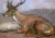 Le musée de la Chasse et de la Nature possède dans ses collections une trentaine de peintures, dessins et estampes de Jouve

 

Cerf couché, vers 1955. Huile sur panneau d'Isorel, Haut.39 cm, Larg. 55 cm